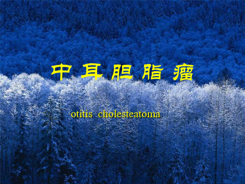 中耳胆脂瘤