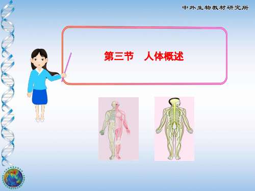 苏教版七年级生物下册第4单元第8章 第三节  人体概述(25张PPT)