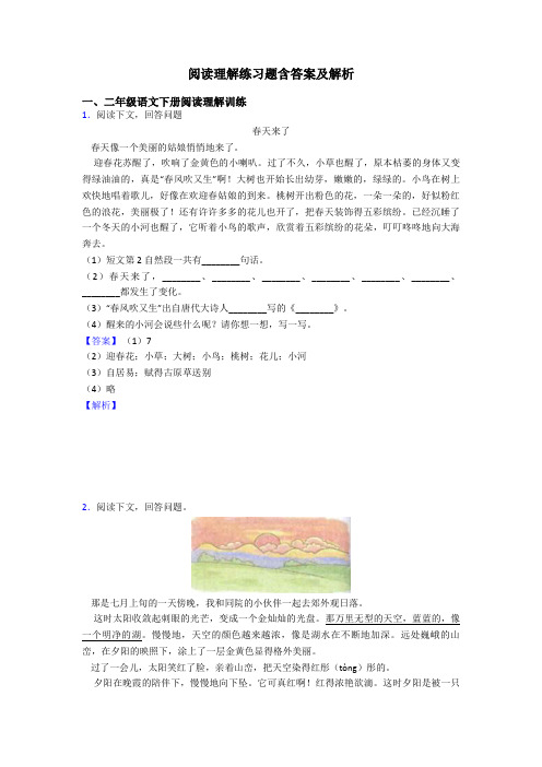 二年级阅读理解练习题含答案及解析