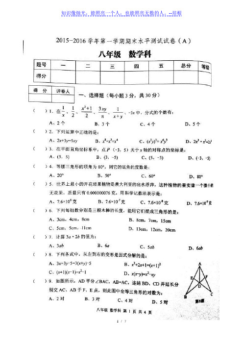 肇庆市端州区2015-2016年八年级上数学期末试卷及答案