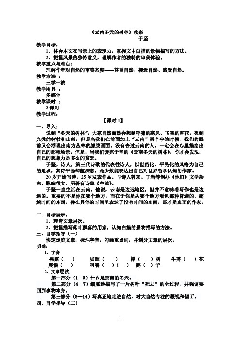 云南冬天的树林教案