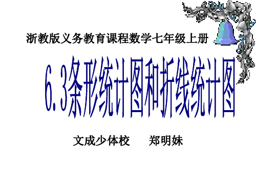 七年级上册数学课件_6.3 条形统计图与折线统计图