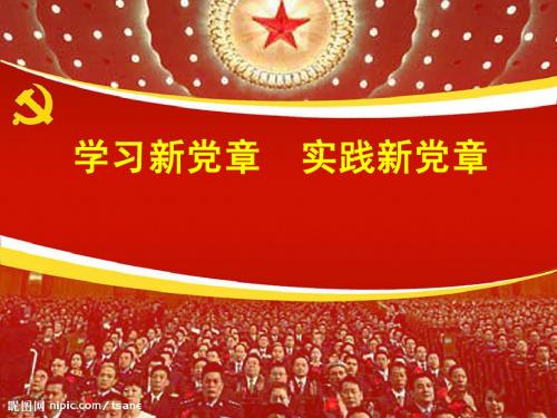 十八大党章导读PPT)