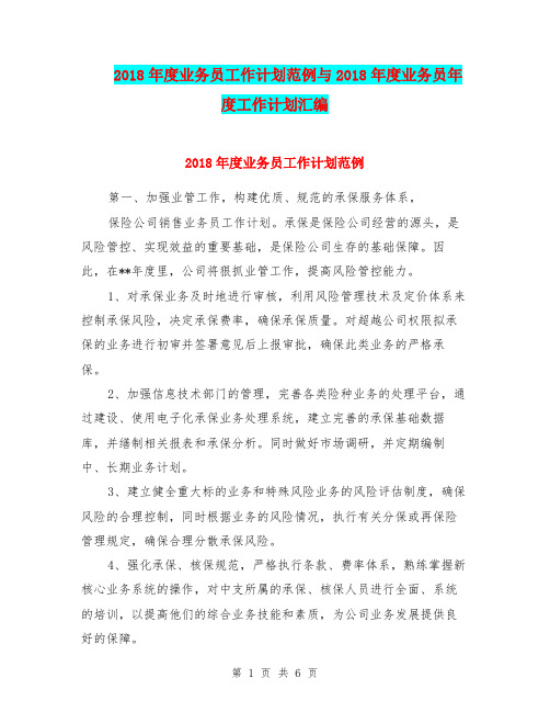2018年度业务员工作计划范例与2018年度业务员年度工作计划汇编.doc