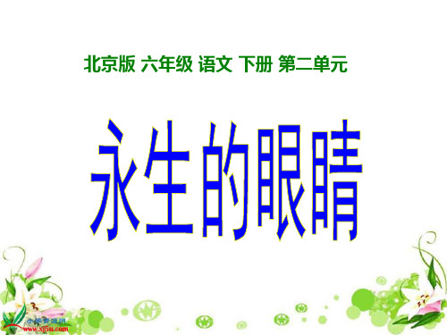 北京版语文六年级下册《永生的眼睛》PPT课件