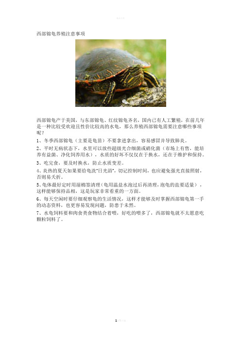 西部锦龟养殖注意事项