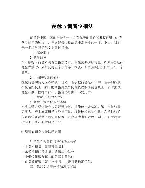 琵琶c调音位指法
