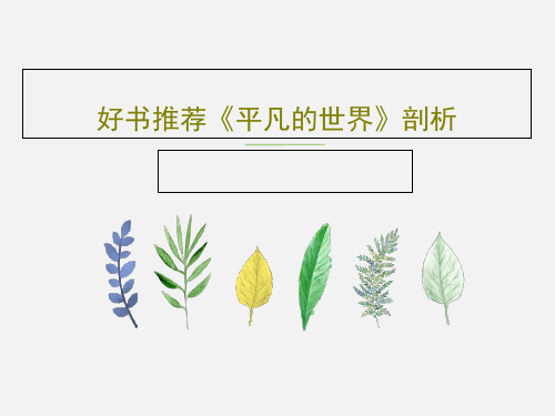 好书推荐《平凡的世界》剖析PPT共19页