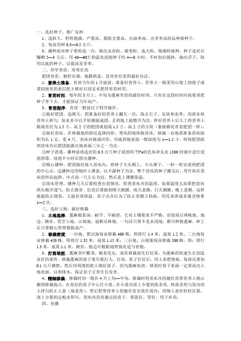 蓖麻