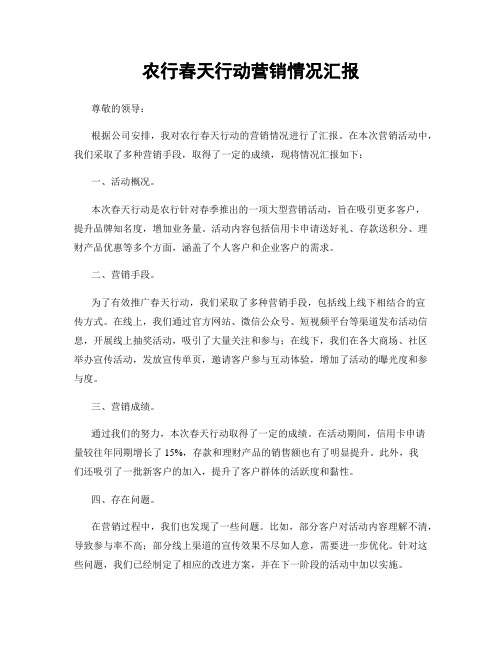 农行春天行动营销情况汇报