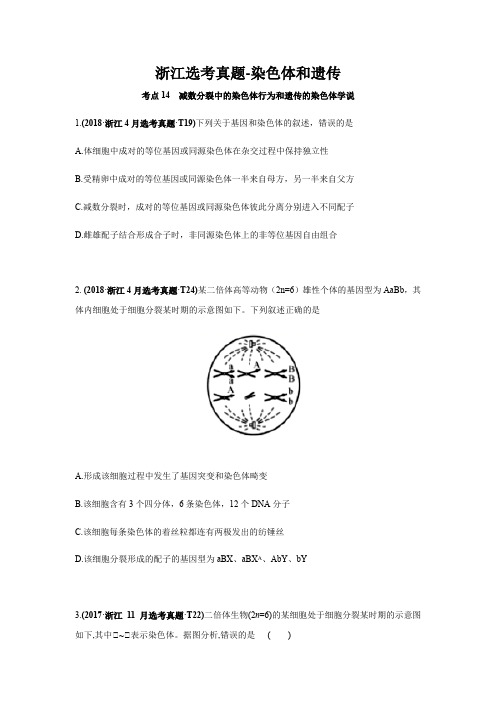 浙江选考真题-染色体和遗传