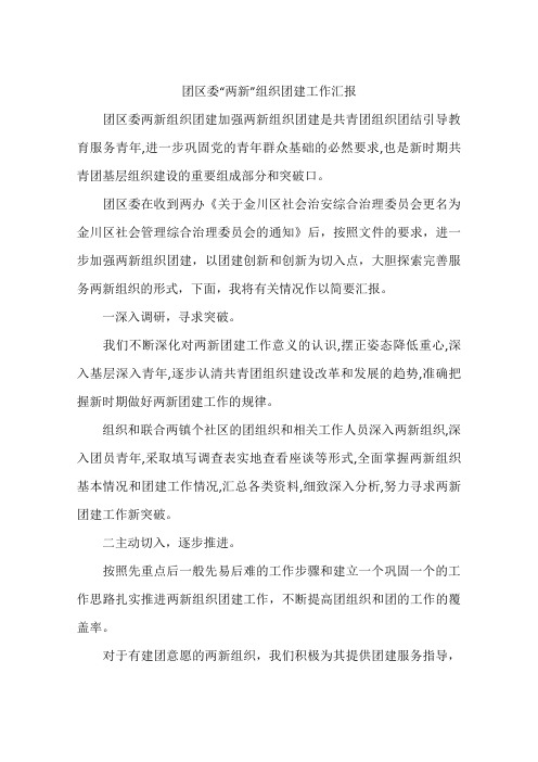 团区委“两新”组织团建工作汇报