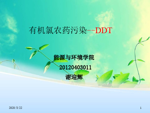 DDT的危害PPT精选文档