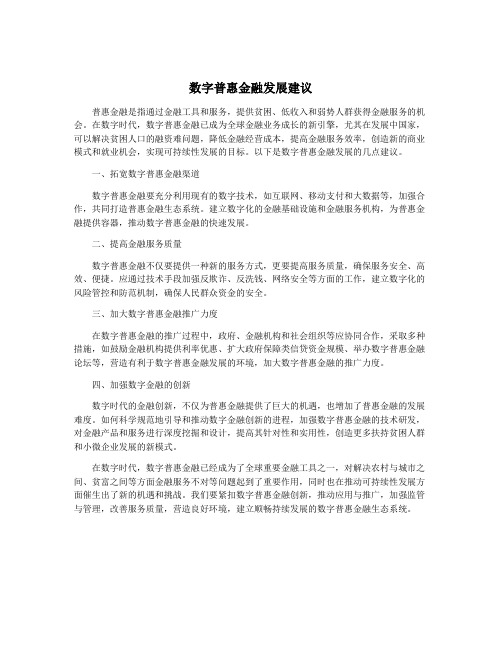 数字普惠金融发展建议