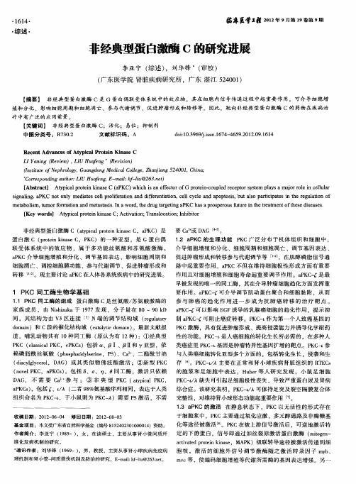 非经典型蛋白激酶C的研究进展
