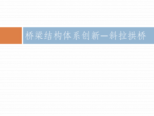 桥梁结构体系创新—斜拉拱桥 课件