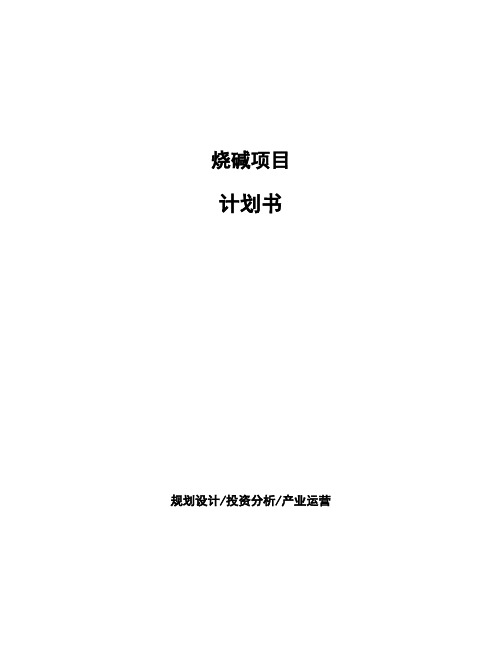 烧碱项目计划书