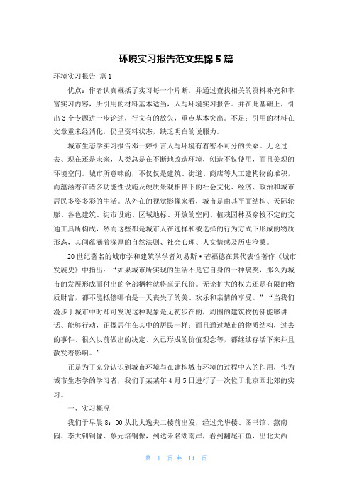 环境实习报告范文集锦5篇
