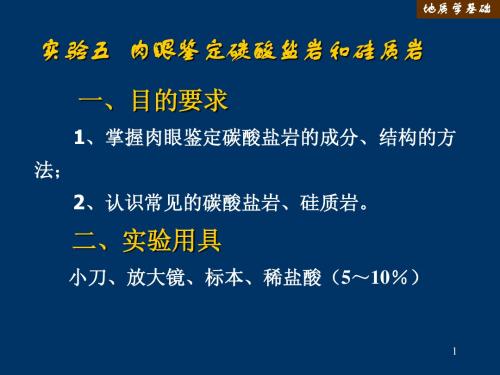 《地质实验》--实验五肉眼鉴定碳酸盐岩和硅质岩