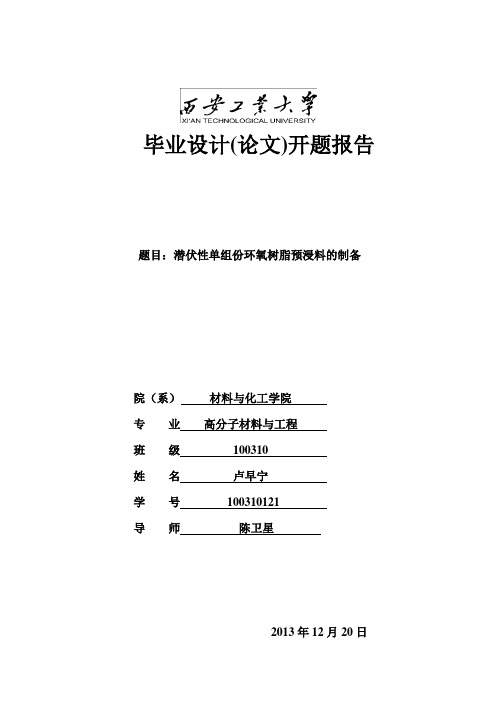 开题报告 卢早宁