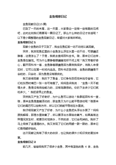 金鱼观察日记