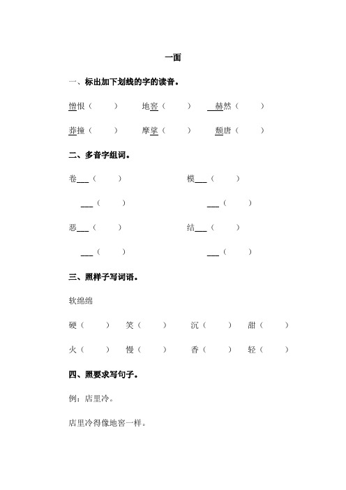 人教版六年级语文上册《一面》同步练习
