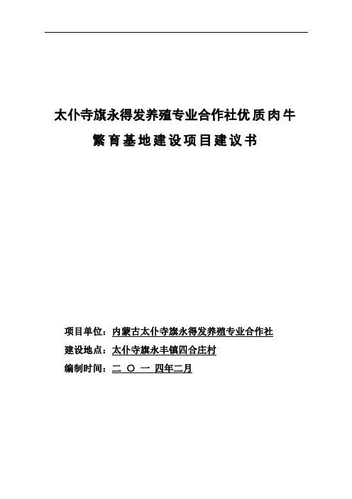 乔总报告