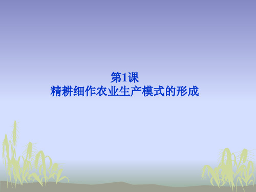 精耕细作农业生产模式的形成全面版