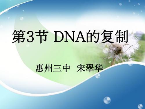人教版高中生物必修二第三章第3节《DNA分子的复制》 课件 (共44张PPT)