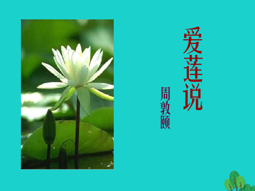 八年级语文上册 第5单元 22《短文两篇》课件 (新版)新人教版