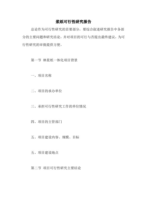 2021年浆纸可行性研究报告
