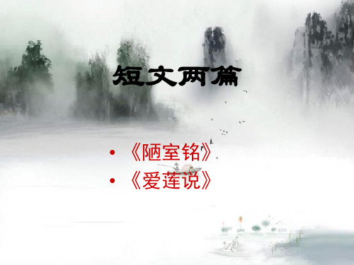 人教部编版七年级下册第四单元第16课《短文两篇》课件(共40张PPT)