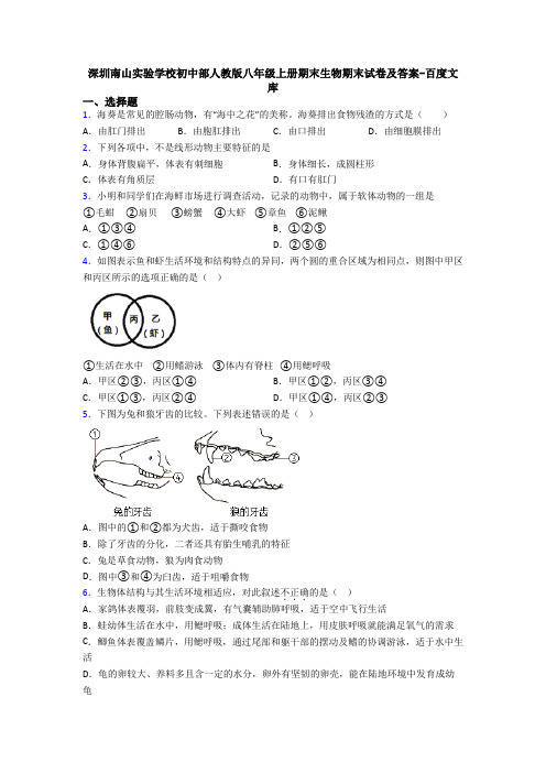 深圳南山实验学校初中部人教版八年级上册期末生物期末试卷及答案-百度文库