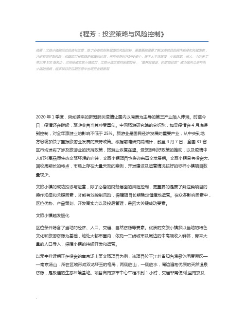 程芳：投资策略与风险控制