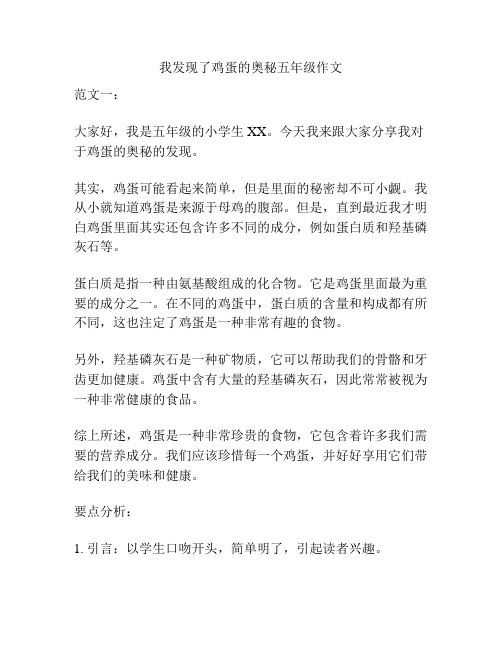 我发现了鸡蛋的奥秘五年级作文