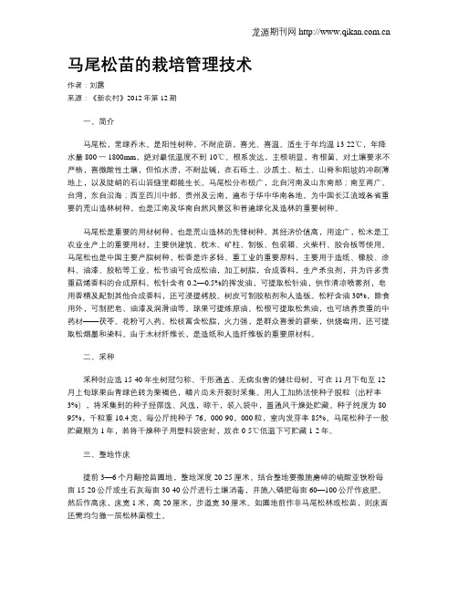马尾松苗的栽培管理技术