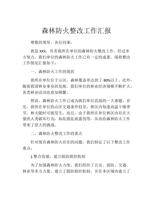 森林防火整改工作汇报