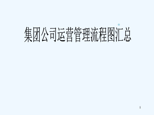 集团公司运营管理流程图汇总
