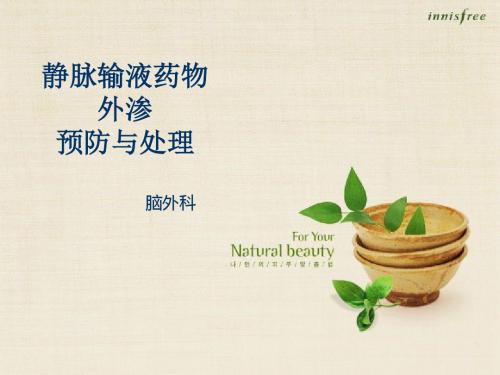 静脉输液外渗预防与处理PPT课件