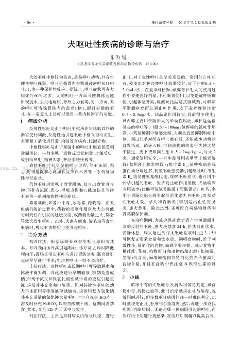 犬呕吐性疾病的诊断与治疗