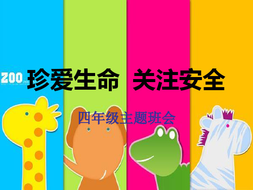 珍爱生命--关注安全一-主题班会课件