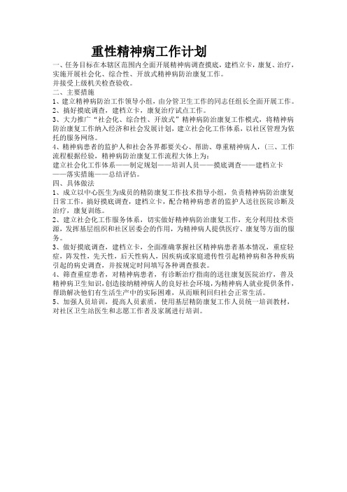重性精神病工作计划