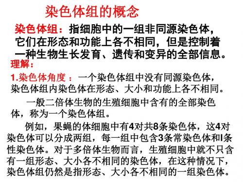 染色体组的理解与判断解析