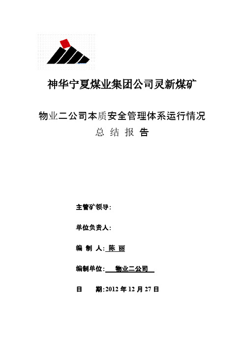物业公司宁静管理体系运行情况总结报告2