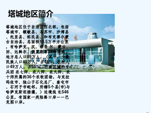 塔城地区的区域分析及规划