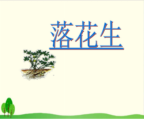(部编教材)  落花生精美版1