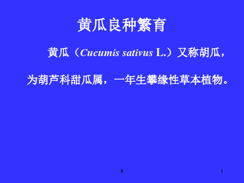 《良种繁育》PPT课件
