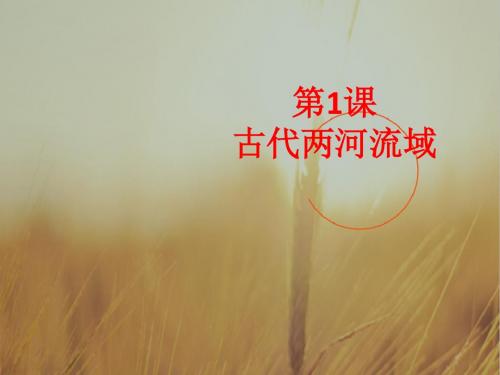 高一历史上华师大版课件：古代两河流域 2 精品
