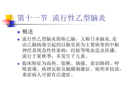 传染病学ppt课件乙脑