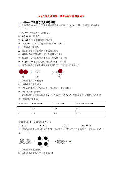 中考化学专项训练：质量守恒定律强化练习